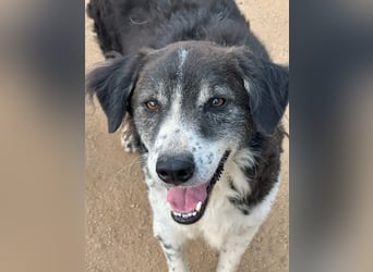 SELENE - so hübsch und so nett!!!