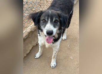 SELENE - so hübsch und so nett!!!