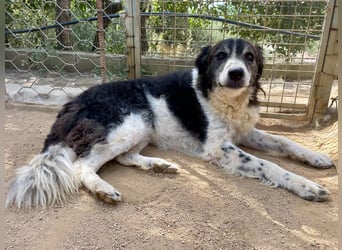 SELENE - so hübsch und so nett!!!