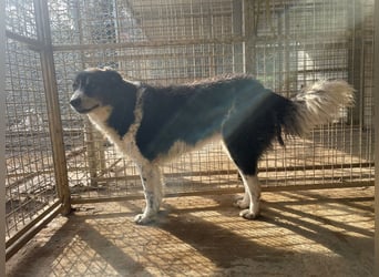 SELENE - so hübsch und so nett!!!