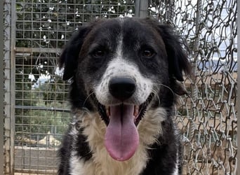 SELENE - so hübsch und so nett!!!