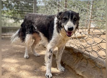 SELENE - so hübsch und so nett!!!