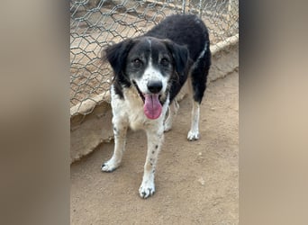 SELENE - so hübsch und so nett!!!