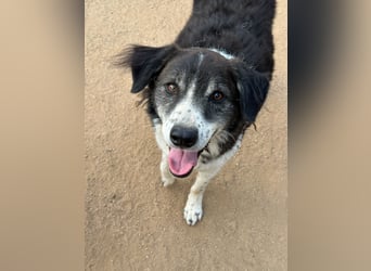 SELENE - so hübsch und so nett!!!