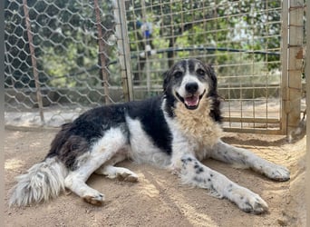 SELENE - so hübsch und so nett!!!