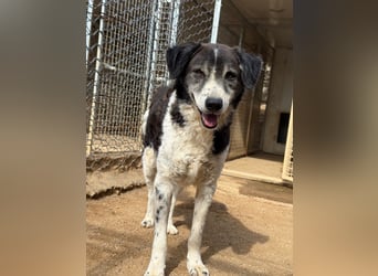 SELENE - so hübsch und so nett!!!