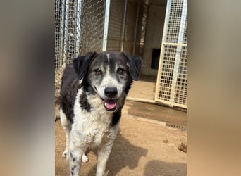 SELENE - so hübsch und so nett!!!