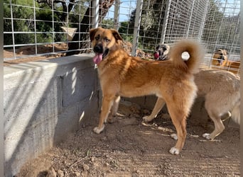 ALEX - er hat so viel Potenzial