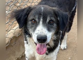 SELENE - so hübsch und so nett!!!