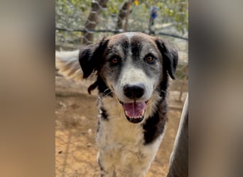 SELENE - so hübsch und so nett!!!