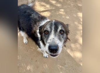 SELENE - so hübsch und so nett!!!