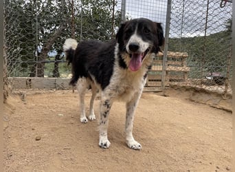 SELENE - so hübsch und so nett!!!