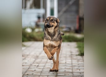Aktiver KROSH sucht seine Menschen