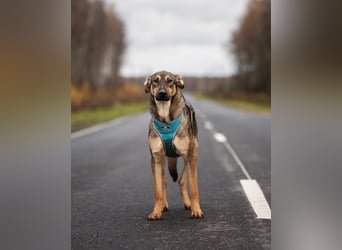 Aktiver KROSH sucht seine Menschen
