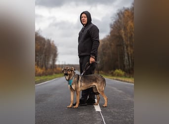 Aktiver KROSH sucht seine Menschen