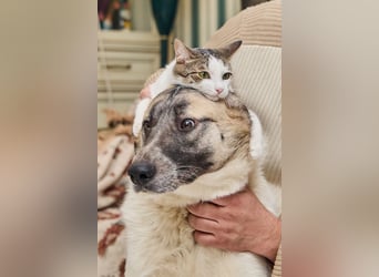 MONYA sucht Familie mit Kindern