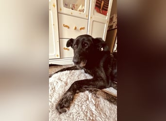 HOPITY - Kuscheln ja. Mitreden aber bitte auch! 