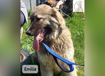 Emilia – mit Klarheit, Herz und Verantwortung durchs Leben!