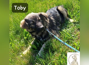 Toby hat Pläne … große!
