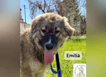 Emilia – mit Klarheit, Herz und Verantwortung durchs Leben!