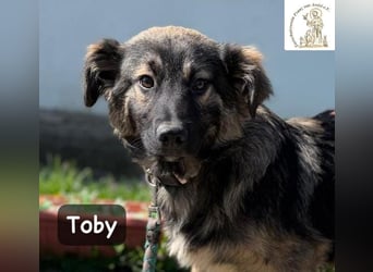 Toby hat Pläne … große!