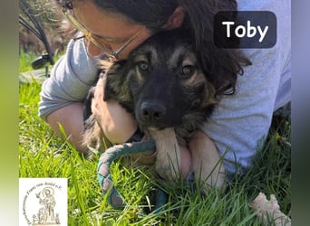 Toby hat Pläne … große!