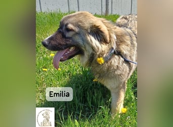Emilia – mit Klarheit, Herz und Verantwortung durchs Leben!