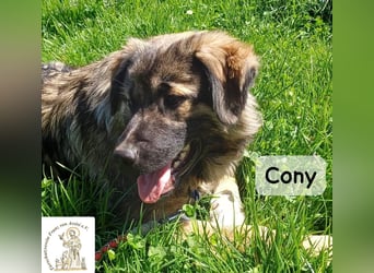 Cony – klug, klar, charakterstark!