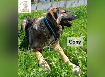 Cony – klug, klar, charakterstark!