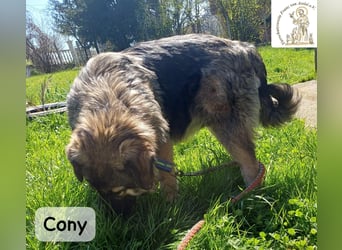 Cony – klug, klar, charakterstark!