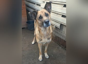 Ionica - sanft und freundlich, mit schwerer Vergangenheit!