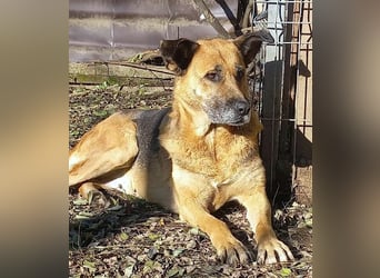 Ionica - sanft und freundlich, mit schwerer Vergangenheit!