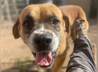 Jungle- wer gibt ihm eine Chance