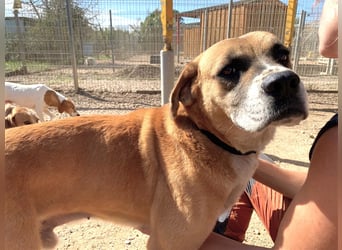 Jungle- wer gibt ihm eine Chance