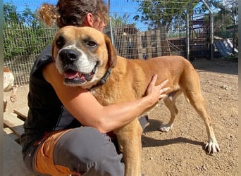 Jungle- wer gibt ihm eine Chance