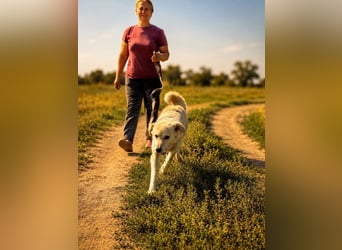 Sanfte Jana sucht liebevolles Zuhause