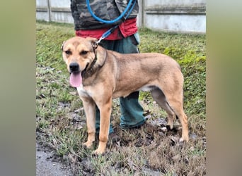 Garas sehnt sich nach Liebe und Geborgenheit !