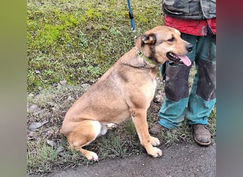 Garas sehnt sich nach Liebe und Geborgenheit !