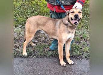 Garas sehnt sich nach Liebe und Geborgenheit !