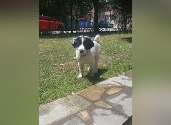 Hermes sucht seine Familie
