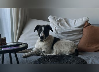 Trigona – eine wahre Schönheit mit Herz und Humor