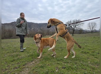 Eda möchte Dein Herz erobern!