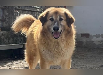 Penny- springt mit Dir ins Abenteuer!