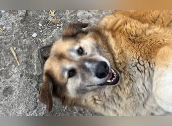 Penny- springt mit Dir ins Abenteuer!