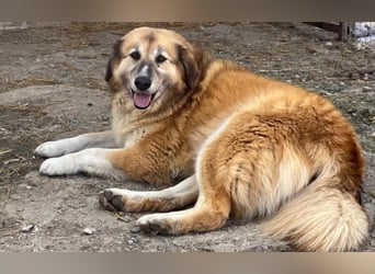 Penny- springt mit Dir ins Abenteuer!