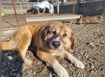 Penny- springt mit Dir ins Abenteuer!