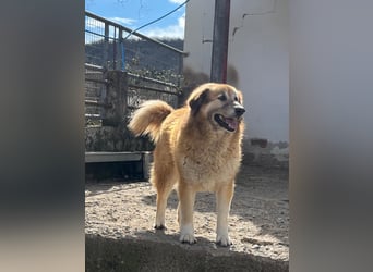 Penny – Mit Schwung direkt ins Herz