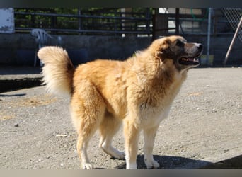 Penny- springt mit Dir ins Abenteuer!