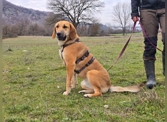 Eda möchte Dein Herz erobern!