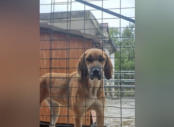 Eda möchte Dein Herz erobern!